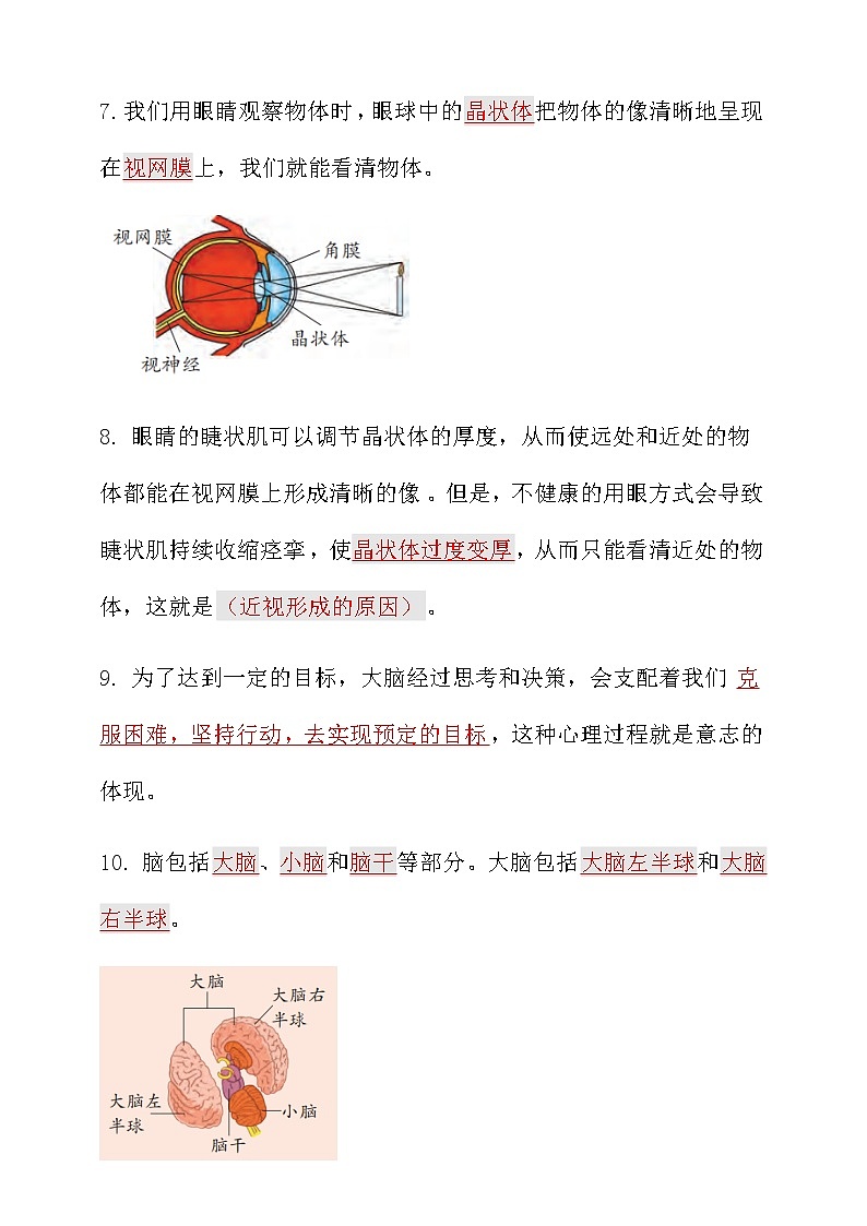 新大象版科学五年级上册第二单元知识点总结+练习第2页