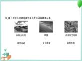 教科版科学五上 第5课 风的作用 习题PPT (含答案+动画)