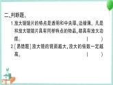 教科版科学六上 第1课 放大镜 习题讲解PPT