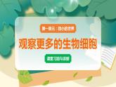 教科版科学六上 第5课 观察更多的生物细胞 习题讲解PPT