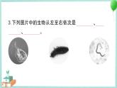 教科版科学六上 第6课 观察水中微小的生物 习题讲解PPT