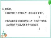 教科版科学六上 第5课 影长的四季变化 习题讲解PPT