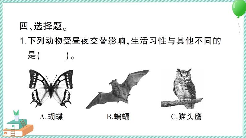 教科版科学六上 第7课 昼夜和四季变化对生物的影响 习题讲解PPT第7页