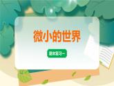 教科版科学六上 期末复习一《微小世界》习题讲解PPT