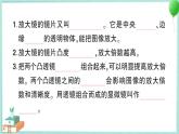 教科版科学六上 期末复习一《微小世界》习题讲解PPT