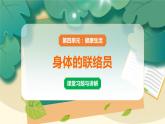 教科版科学五上 第5课 身体的“联络员”习题PPT (含答案+动画)