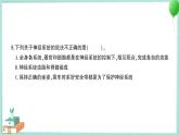 教科版科学五上 第5课 身体的“联络员”习题PPT (含答案+动画)