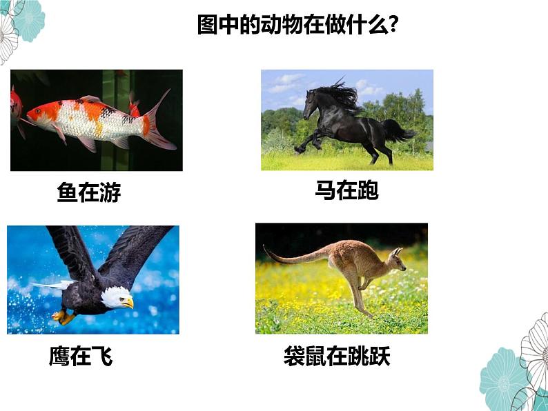 教科版科学一年级2.1《我们知道的动物》课件PPT+教案04