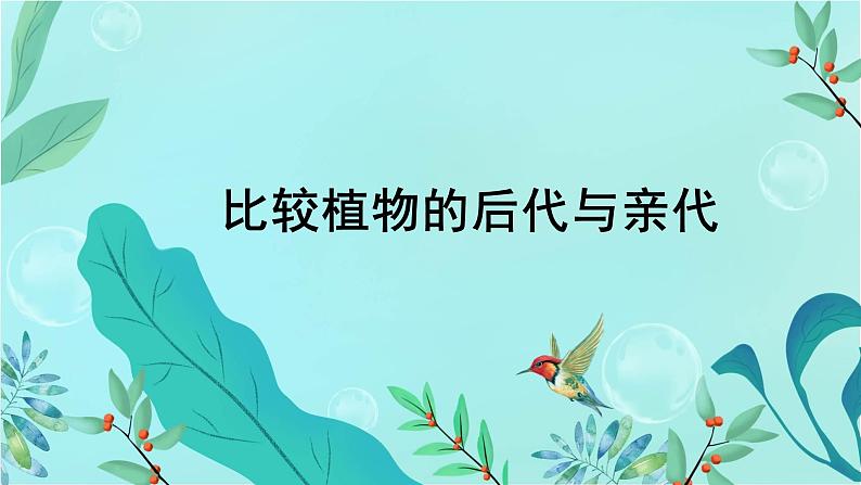 2021-2022学年人教版科学五年级上册6.《植物的后代与亲代》（课件）第2页