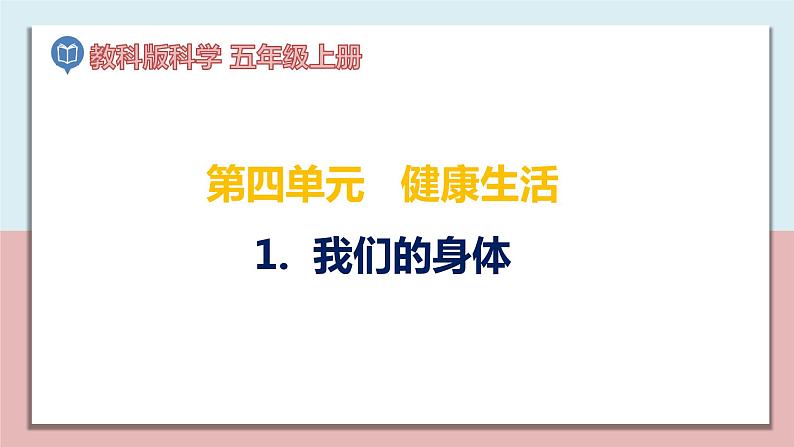 小学五年级科学上册 第四单元 第1课《我们的身体》课件+练习 （科教版2017）01