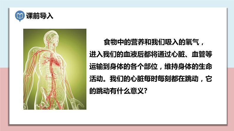 小学五年级科学上册 第四单元 第3课《心脏和血液》课件+练习 （科教版2017）02