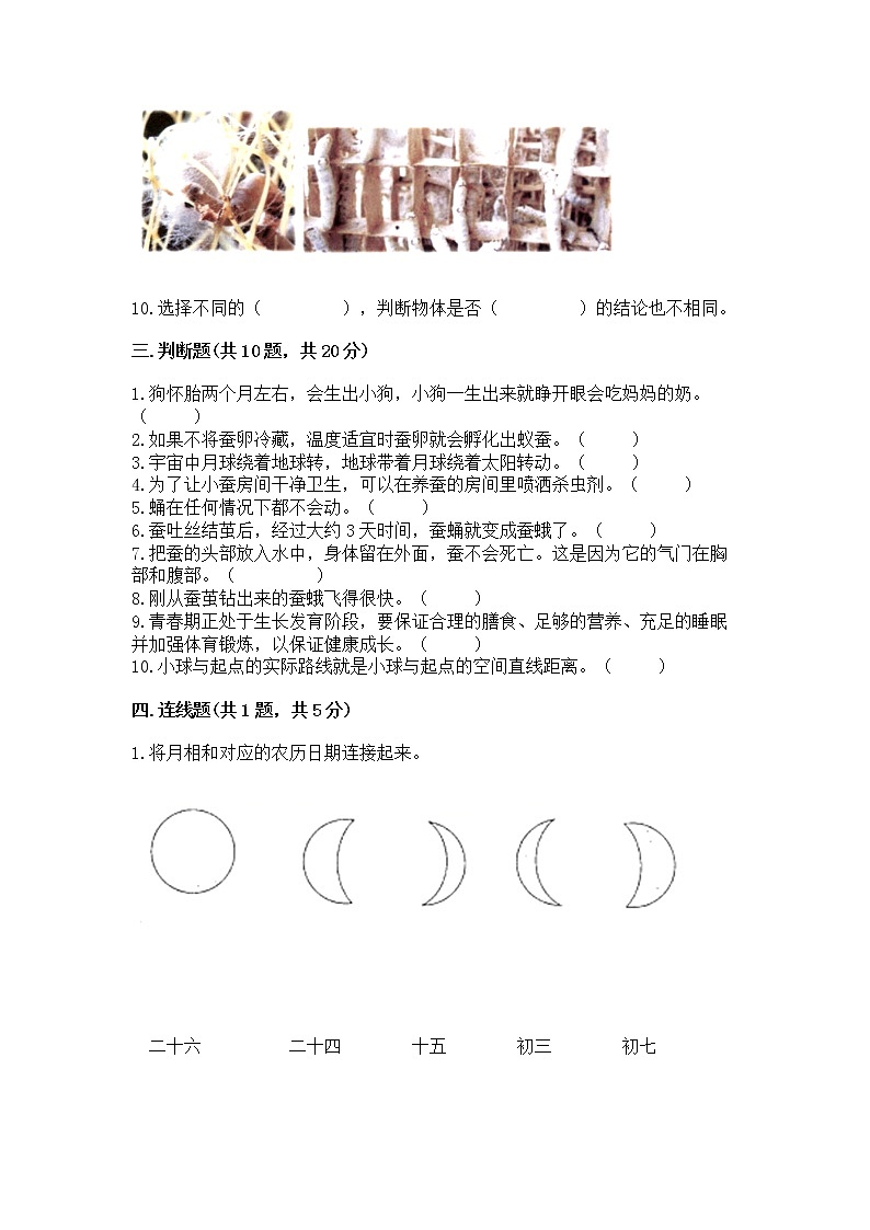 教科版三年级下册科学期末测试卷【含答案】第3页