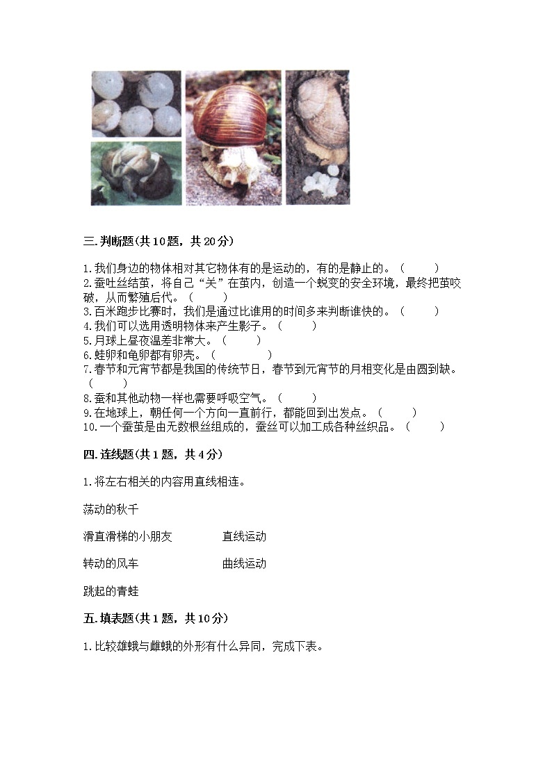 教科版三年级下册科学期末测试卷【原创题】第3页