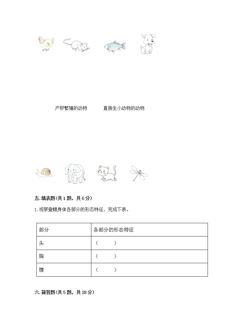 教科版三年级下册科学期末测试卷（A卷）第3页