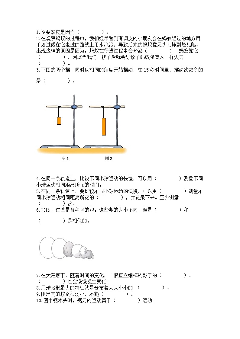 教科版三年级下册科学期末测试卷（考点精练）第3页