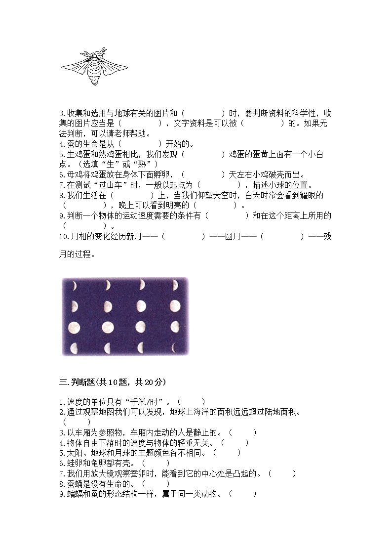 教科版三年级下册科学期末测试卷（精选题）03