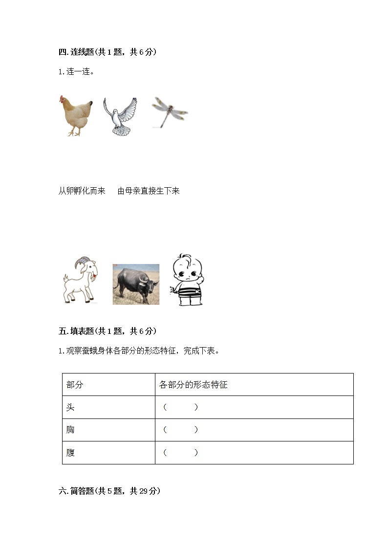 教科版三年级下册科学期末测试卷完整答案第3页