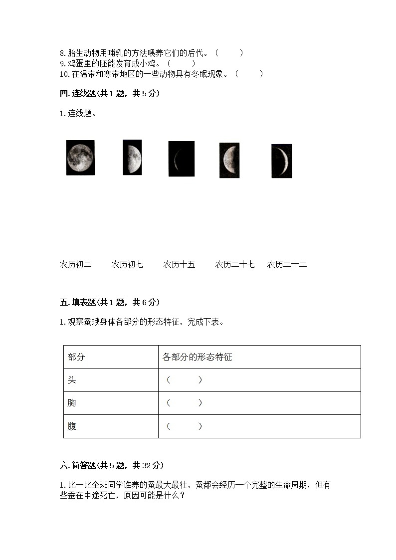 教科版三年级下册科学期末测试卷精品（全优）第3页