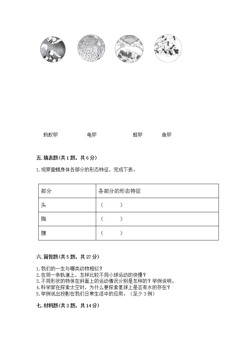 教科版三年级下册科学期末测试卷精品（夺冠）第3页