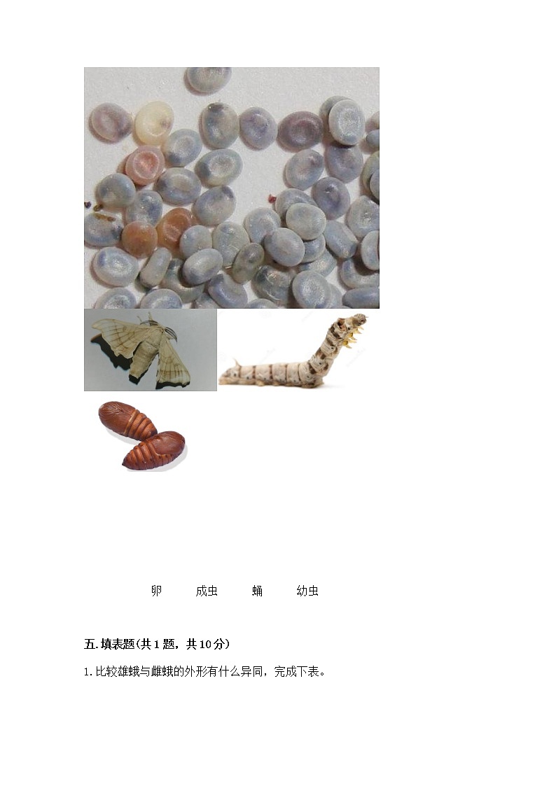 教科版三年级下册科学期末测试卷精品带答案第3页