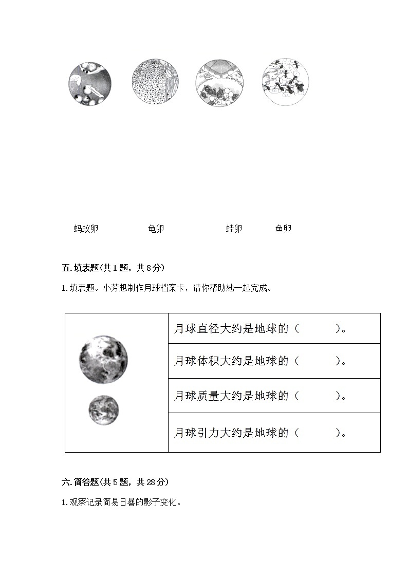 教科版三年级下册科学期末测试卷精品（综合题）第3页