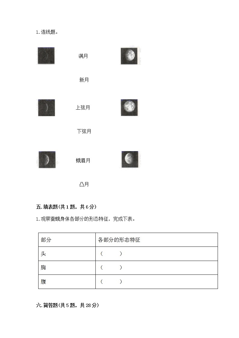 教科版三年级下册科学期末测试卷精品（能力提升）03