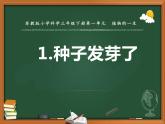 三年級下冊科學(xué)1種子發(fā)芽了教學(xué)課件（蘇教版）