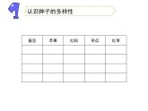 三年级下册科学1种子发芽了教学课件（苏教版）