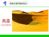 三年級(jí)下冊(cè)科學(xué)6沙漠中的植物教學(xué)課件（蘇教版）