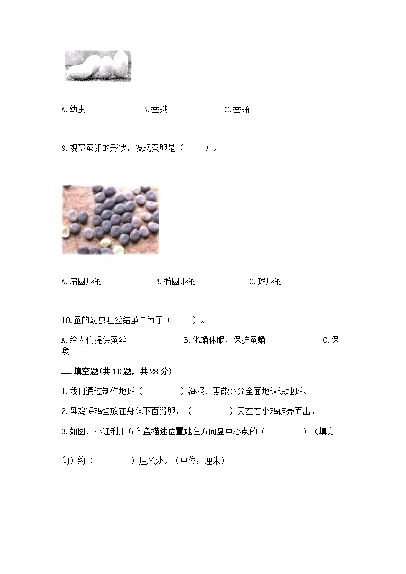 教科版三年级下科学知识点期末测试卷（综合题）第2页