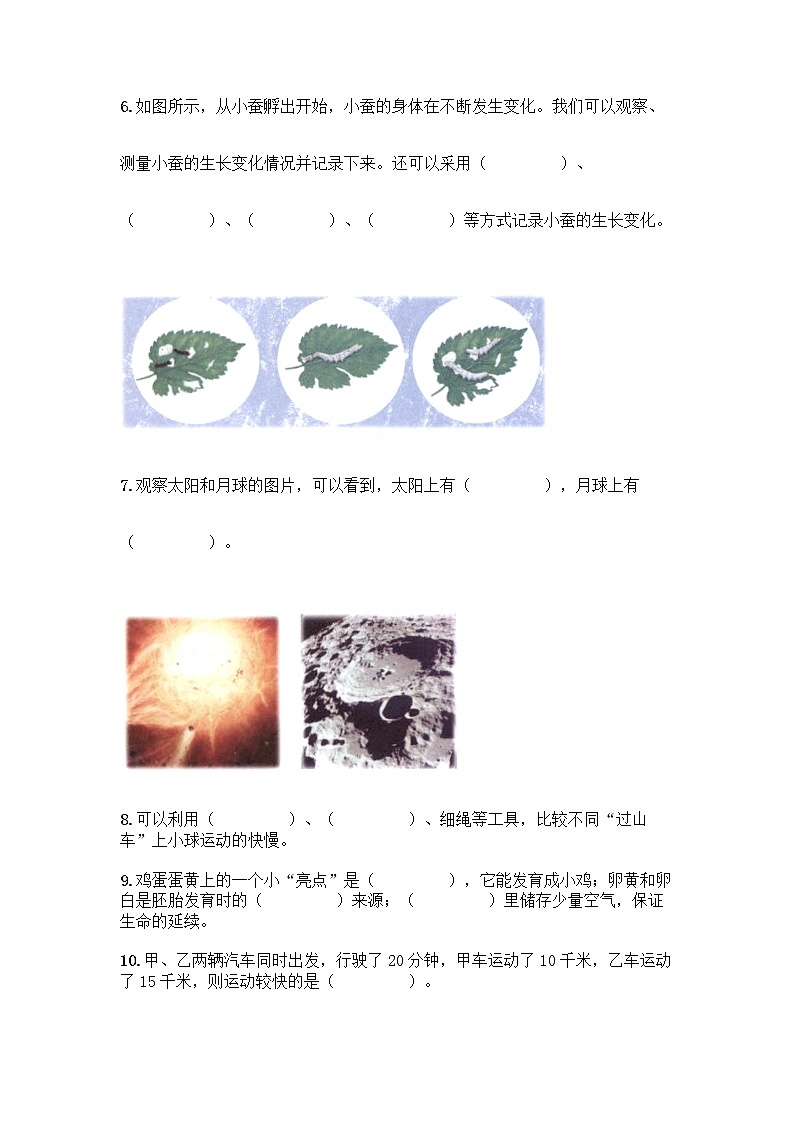 教科版三年级下科学知识点期末测试卷附答案（考试直接用）第3页