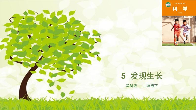 2.5《发现生长》课件第1页