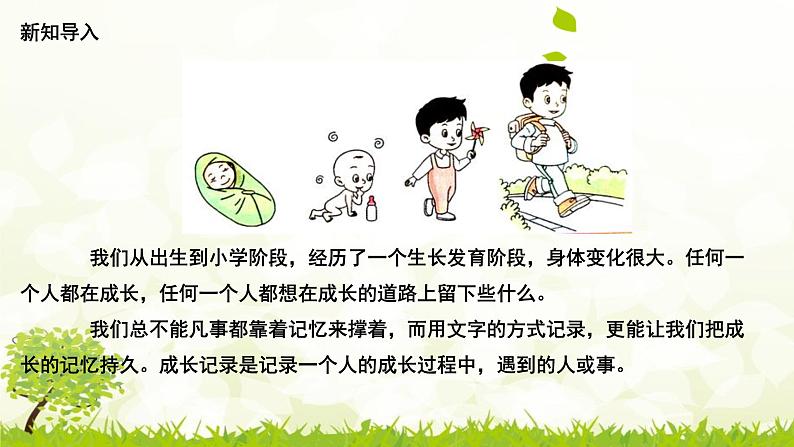 2.5《发现生长》课件第3页