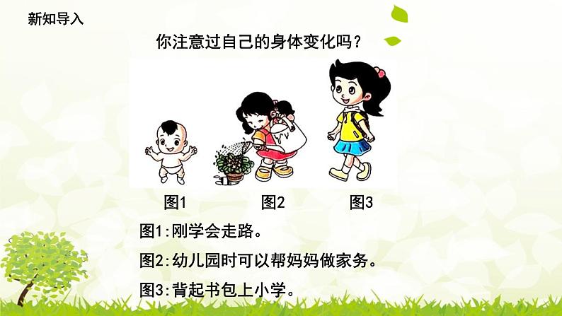 2.5《发现生长》课件第5页