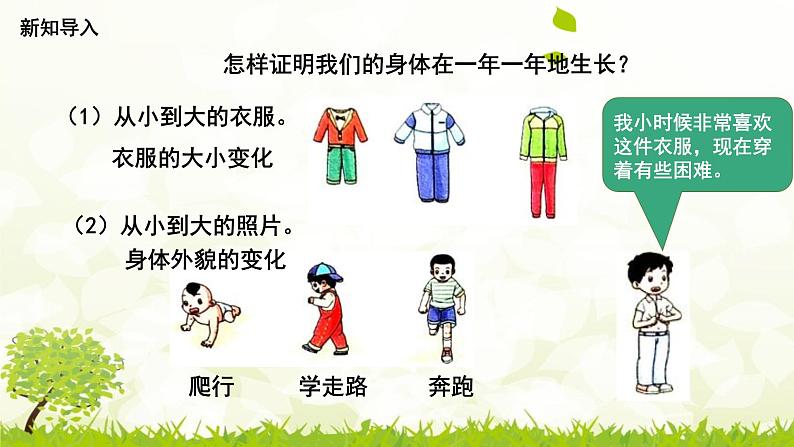 2.5《发现生长》课件第7页