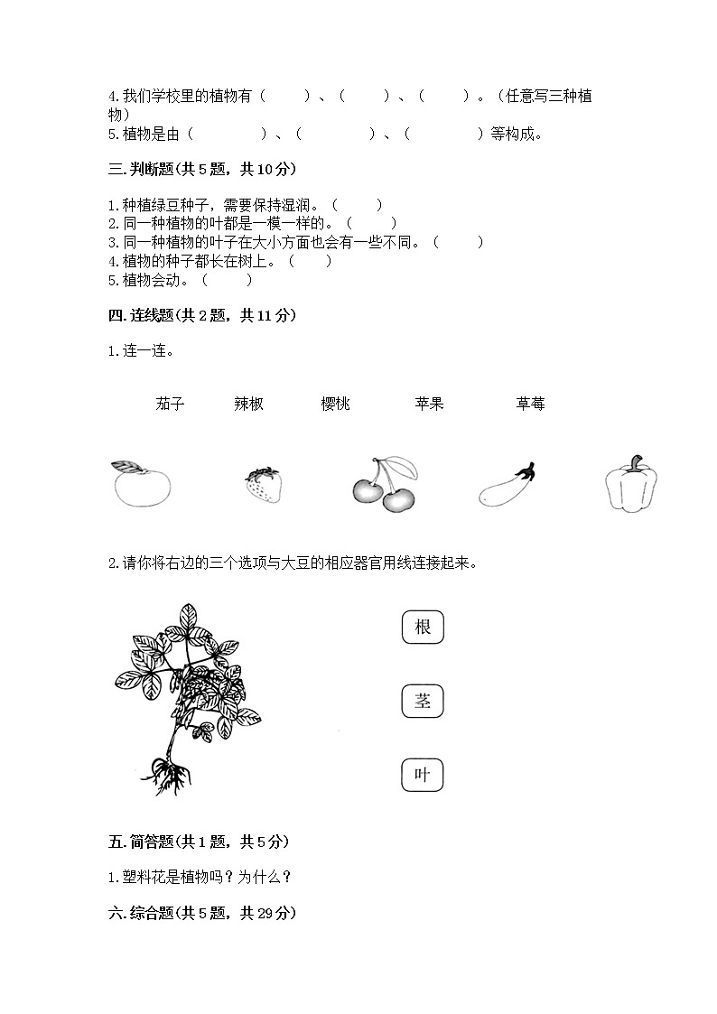 教科版科学一年级上册第一单元《植物》测试卷精品【能力提升】02