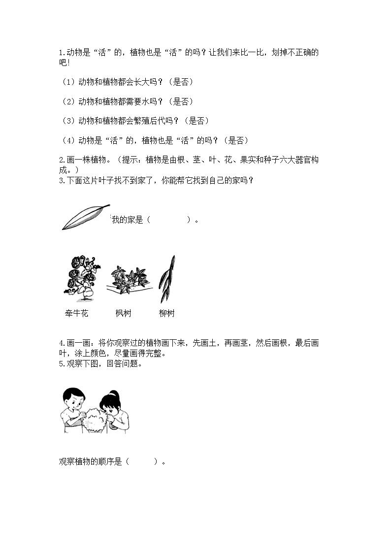 教科版科学一年级上册第一单元《植物》测试卷精品【能力提升】03