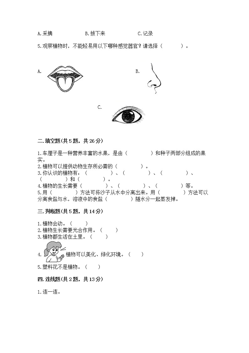 教科版科学一年级上册第一单元《植物》测试卷（精选题）word版第2页