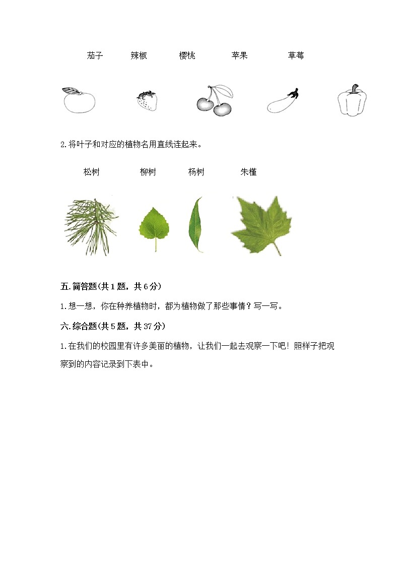 教科版科学一年级上册第一单元《植物》测试卷（精选题）word版第3页