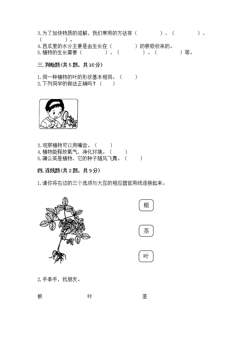 教科版科学一年级上册第一单元《植物》测试卷精品【A卷】第2页