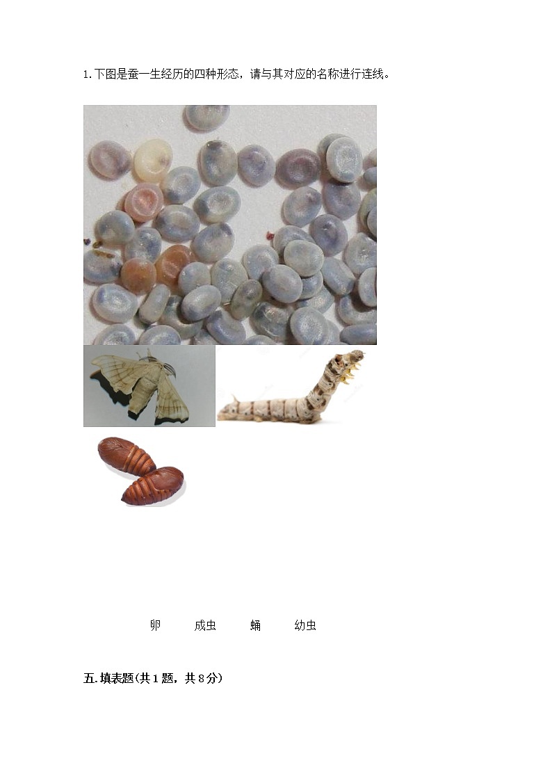 教科版三年级下册科学期末测试卷及完整答案第3页