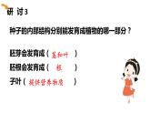 四年級(jí)下 第一單元 植物與生長課件PPT