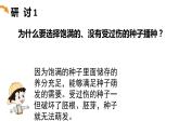 四年級(jí)下 第一單元 植物與生長課件PPT