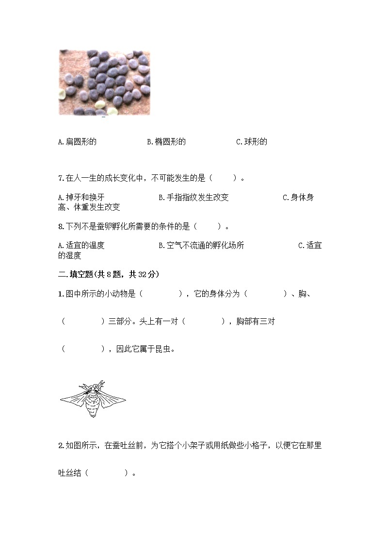 教科版三年级下下册第二单元《动物的一生》测试卷带答案（精练）02
