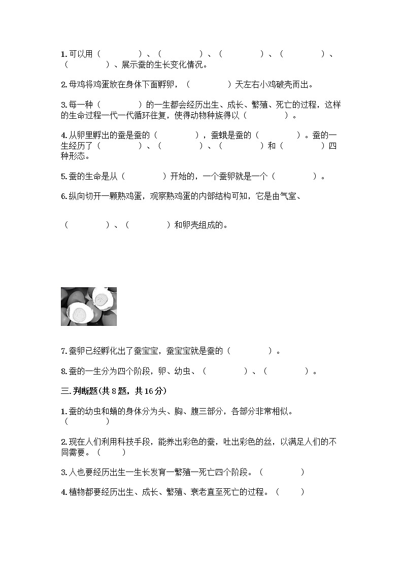 教科版三年级下下册第二单元《动物的一生》测试卷带答案（模拟题）02