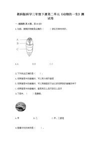 小学科学教科版 (2017)三年级下册8.动物的一生习题