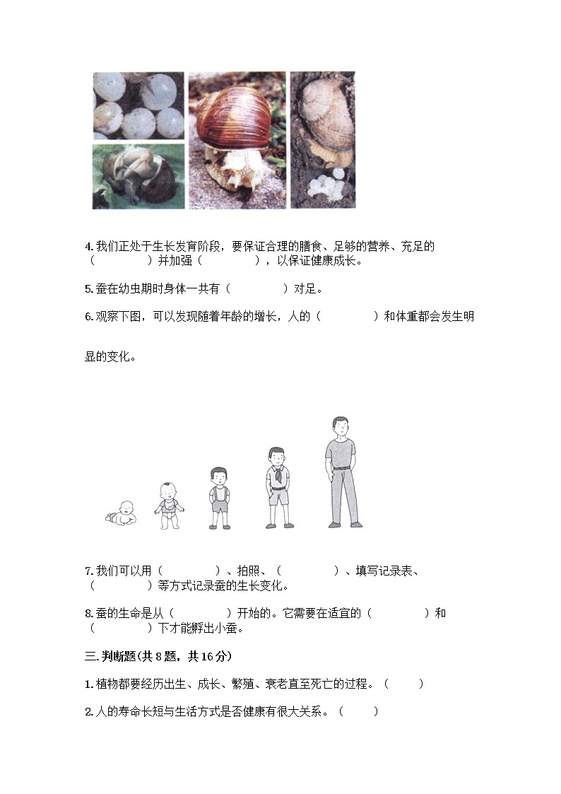 教科版三年级下下册第二单元《动物的一生》测试卷带答案AB卷03