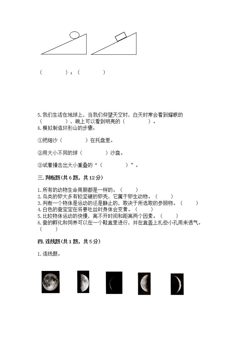 教科版三年级下册科学期末测试卷（黄金题型）word版第2页