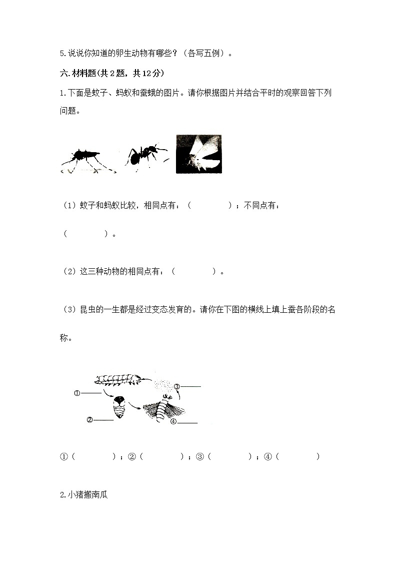 教科版三年级下册科学期末测试卷（能力提升）word版第3页