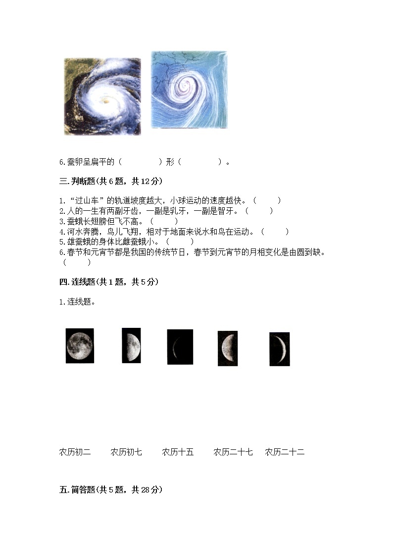 教科版三年级下册科学期末测试卷（易错题）word版02